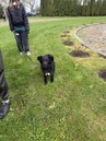 IMG_4304.jpeg