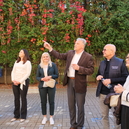 P1361930.JPG