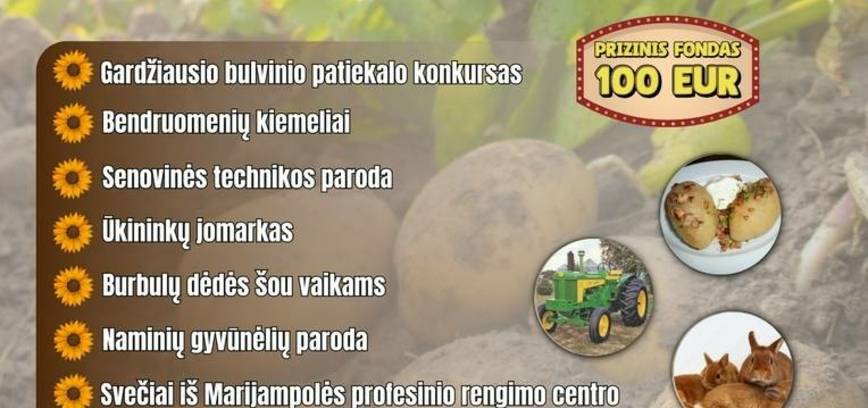 Bendruomenių šventė „Bulvė bum“