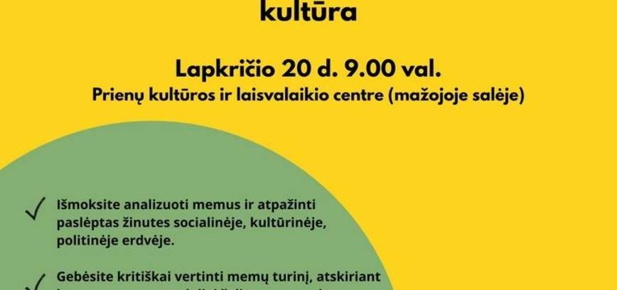 Dirbtuvės jaunimui „FenoMemas – skaitmeninio pokšto kultūra“