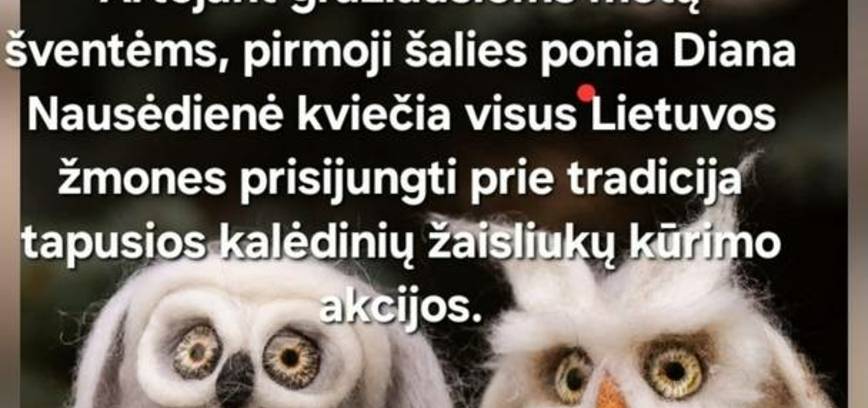 Рождественская акция «Крылатый год мудрости, знаний и творчества!»