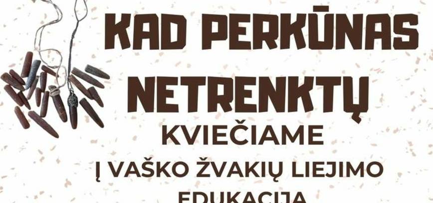 Renginys „Kad perkūnas netrenktų“
