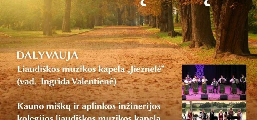 Liaudiškos muzikos kapelų šventė „Gros armonika vakarą tylų“