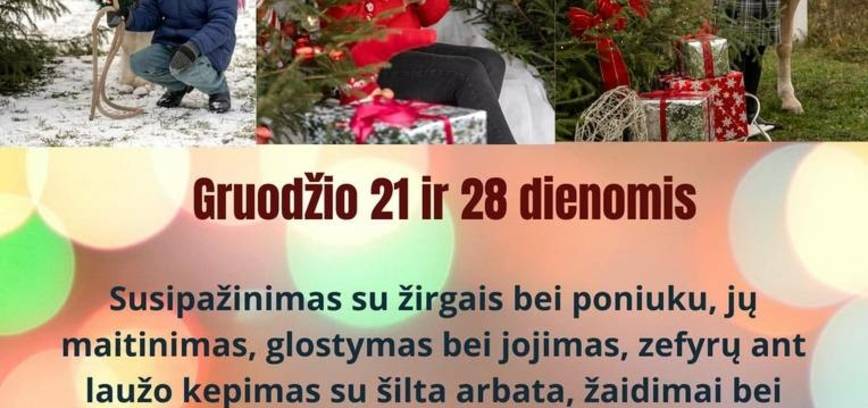  Kalėdinė popietė žirgyne