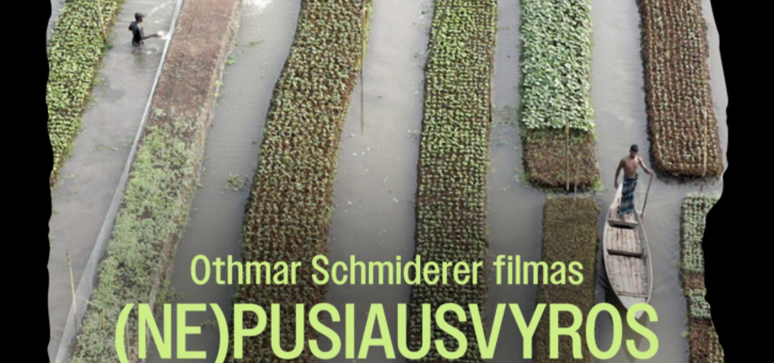 Kino filmas „(Ne)pusiausvyros elementai“