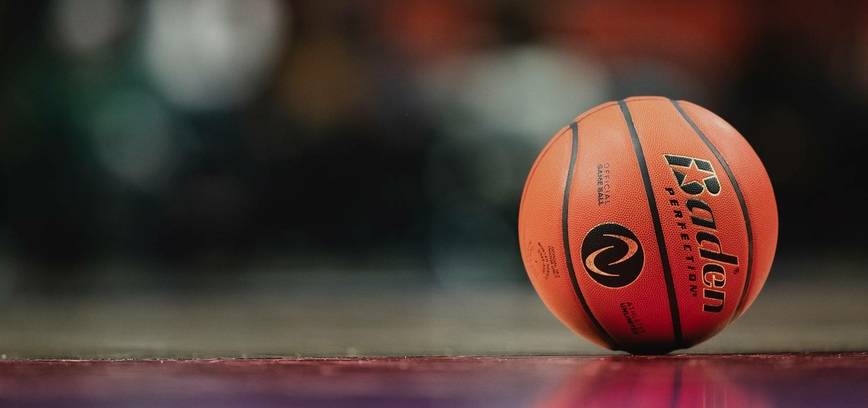 Draugiškos krepšinio rungtynės: Prienų KKSC – Švedijos komanda