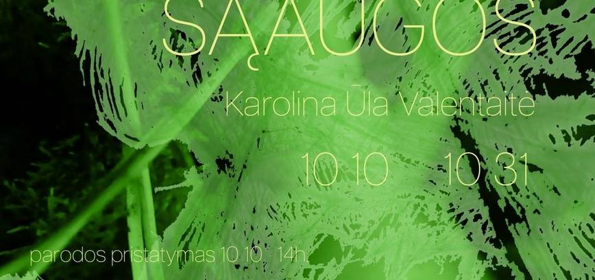 Karolinos Ūlos Valentaitės parodos „Sąaugos“ pristatymas