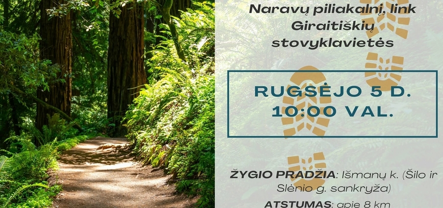 Пеший поход в лесу Приенай
