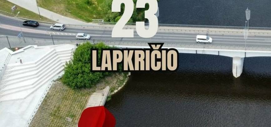 Reitinginės Lietuvos smiginio varžybos „Prienų taurė 2024“