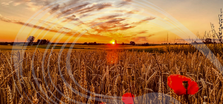 Ramūno Škirkos debiutinės fotografijų parodos atidarymas
