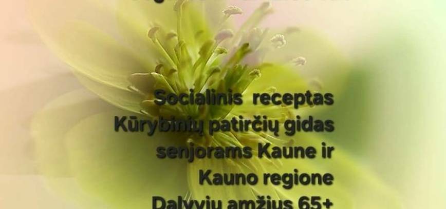 Jungtinis projekto „Socialinis receptas“: „Kūrybinių patirčių gidas senjorams Kaune ir Kauno regione“ susitikimas