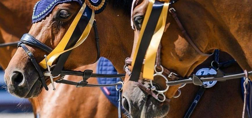 Dailiojo jojimo varžybos | „Harmony Park“ hipodrome