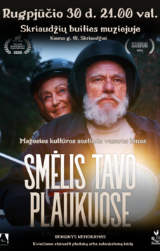 Mažosios kultūros sostinės vasaros kinas. Filmas „Smėlis tavo plaukuose“