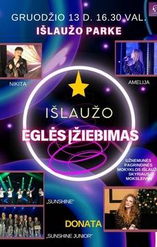 Christmas tree lighting celebration begins