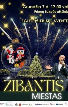 Kalėdų eglės įžiebimo šventė „Žibantis miestas“
