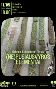 Kino filmas „(Ne)pusiausvyros elementai“