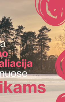 Viešas būsimos meninės instaliacijos (Tylioji g., Prienai) pristatymas