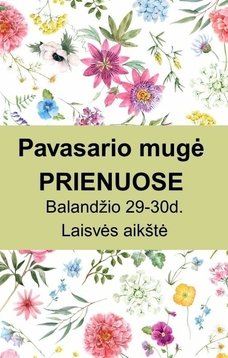 Pavasario mugė