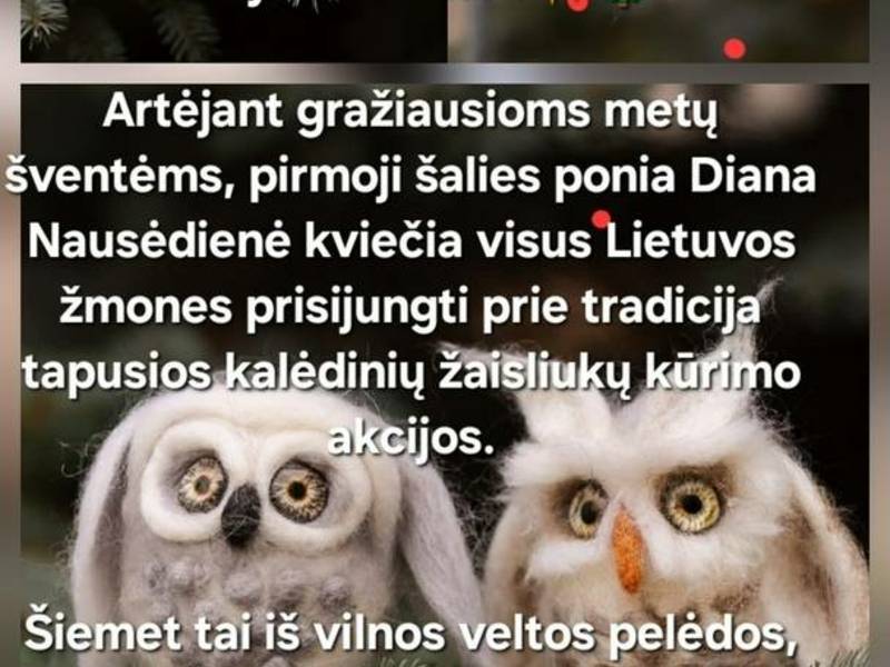 Рождественская акция «Крылатый год мудрости, знаний и творчества!»