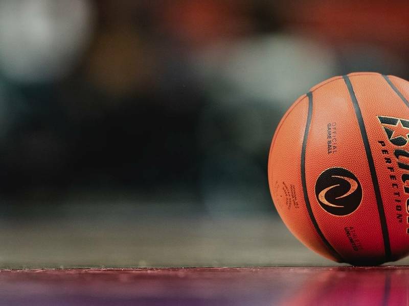 Draugiškos krepšinio rungtynės: Prienų KKSC – Švedijos komanda