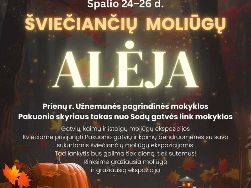 Moliūgų skaptavimo edukacija