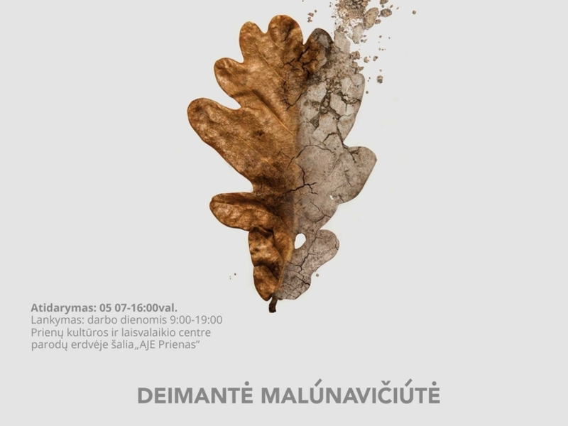Dizainerės Deimantės Malūnavičiūtės socialinių-edukacinių plakatų serijos parodos atidarymas