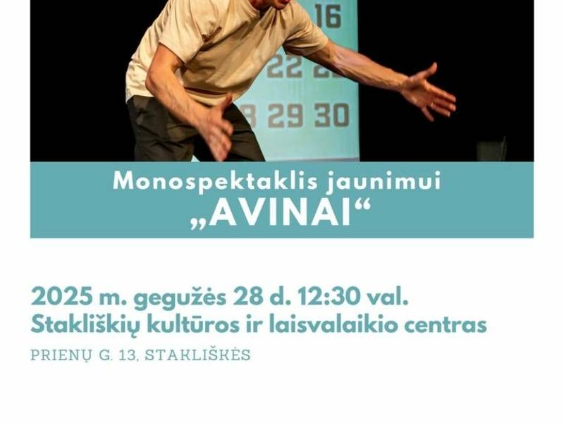 NO SHOES teatro monospektaklis jaunimui „Avinai“